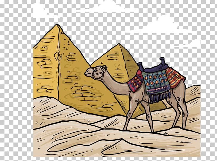 Egyptian Pyramids Ancient Egypt Camel Illustration PNG, Clipart, Animals, Arabian Camel, Art, Camel Vector, Color Free PNG Download