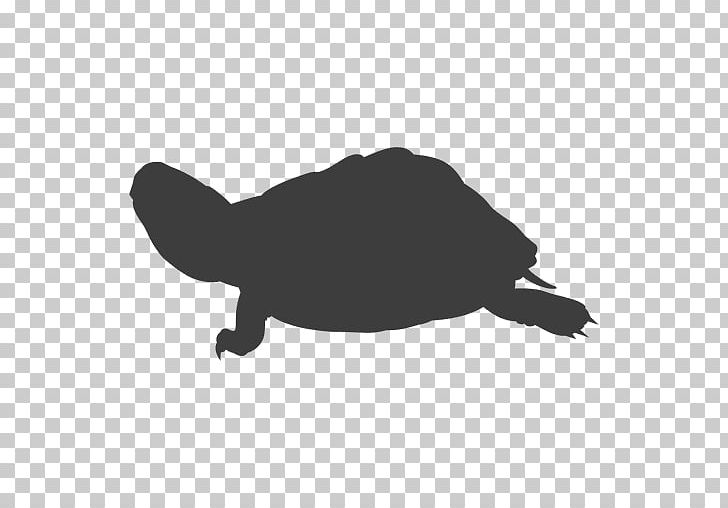 Sea Turtle Silhouette Tortoise Box Turtles PNG, Clipart, Black And White, Box Turtles, Cartoon, Drawing, Fauna Free PNG Download