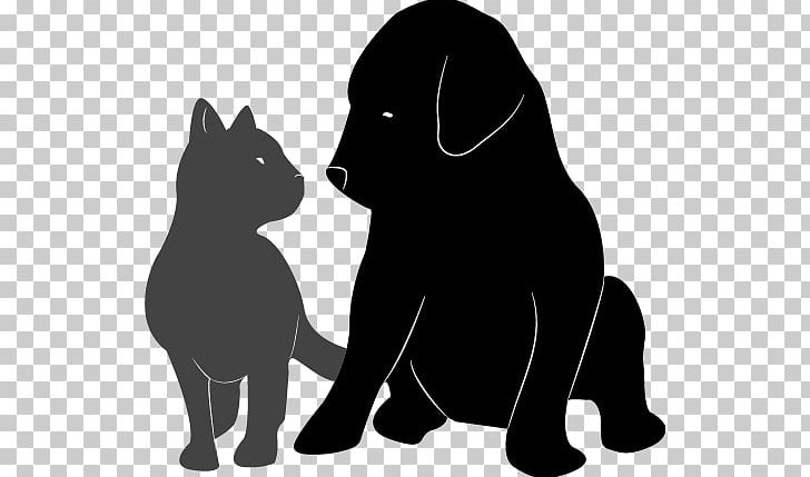 Whiskers Black Cat Puppy Dog PNG, Clipart, Animal, Animal Rescue, Animals, Black, Carnivoran Free PNG Download