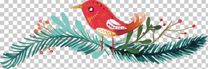 Beak Feather Leaf PNG, Clipart, Animals, Art, Beak, Bird, Branch Free PNG Download