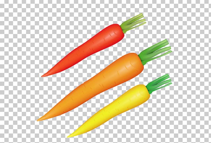 Carrot Vegetable Radish Food PNG, Clipart, Balloon Cartoon, Boy Cartoon, Carrot, Carrot Vector, Cartoon Free PNG Download