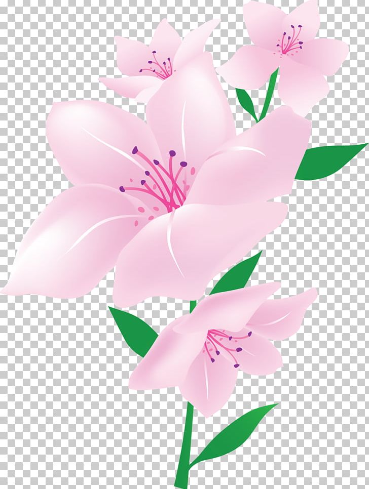 Cut Flowers Floral Design Plant Moth Orchids PNG, Clipart, Blossom, Branch, Cut Flowers, Floral Design, Flower Free PNG Download