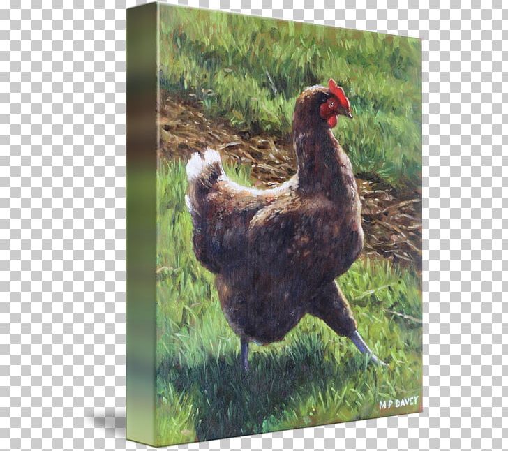 Rooster Chicken Printing Oil Painting Reproduction PNG, Clipart, Acrylic Paint, Art, Beak, Bird, Canvas Free PNG Download