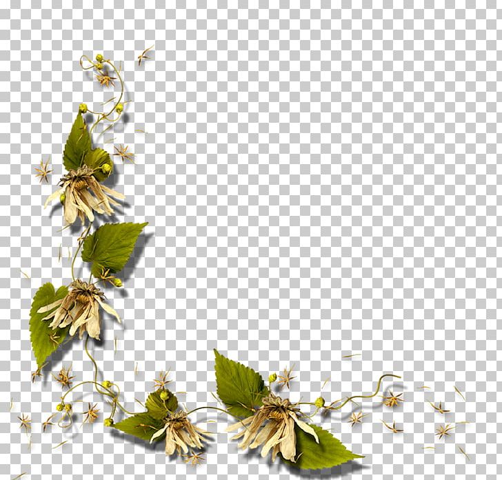 Template PNG, Clipart, Art, Blog, Blossom, Branch, Digital Image Free PNG Download