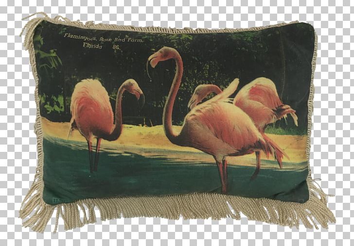 Throw Pillows Cushion PNG, Clipart, Beak, Cushion, Fauna, Flamingo, Florida Free PNG Download