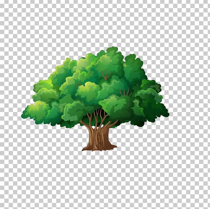 Trees PNG, Clipart, Decorative Patterns, Family, Family Tree, Flowerpot, Fotosearch Free PNG Download
