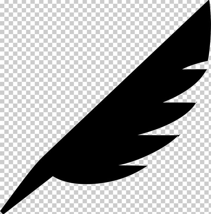 Feather Computer Icons Quill Bird PNG, Clipart, Angle, Animals, Beak, Bird, Black Free PNG Download