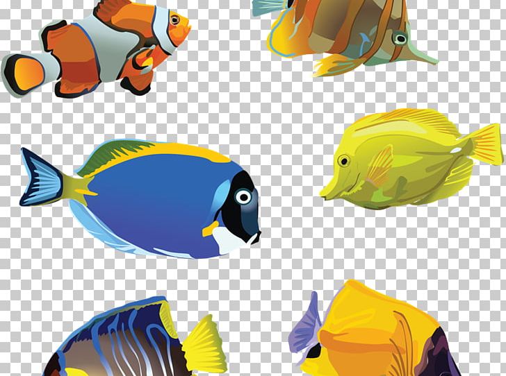 Goldfish Aquarium PNG, Clipart, Animal Figure, Animals, Antibiotic, Aquarium, Azithromycin Free PNG Download