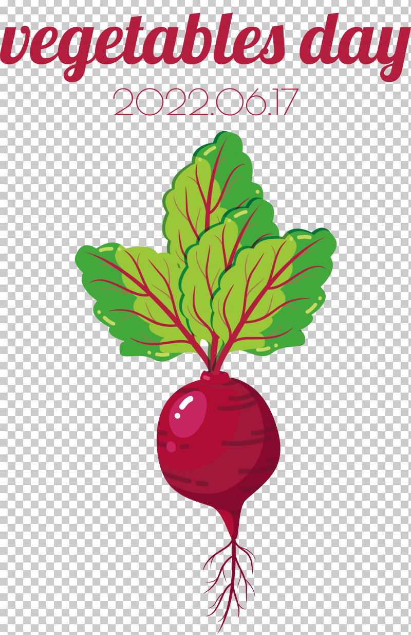 Leaf Vegetable Plant Stem Radish Flower PNG, Clipart, Beetroot, Biology, Flower, Fruit, Leaf Free PNG Download