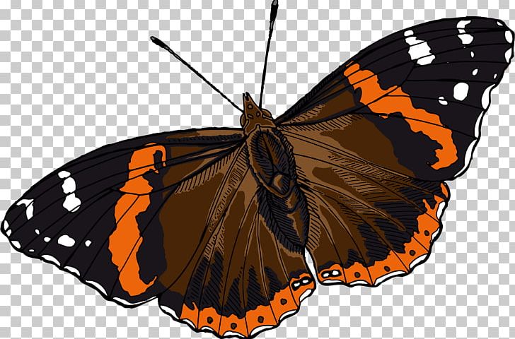 Monarch Butterfly Pieridae Red Admiral Moth PNG, Clipart, Arthropod, Bozzolo, Brush Footed Butterfly, Butterflies And Moths, Butterfly Free PNG Download