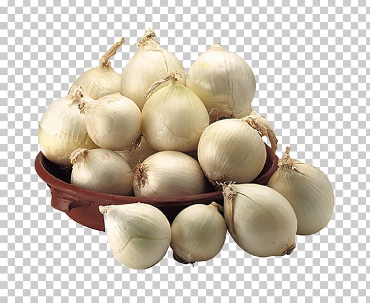 Cipolla Di Cannara Assisi Yellow Onion Spello PNG, Clipart, Assisi, Elephant Garlic, Farm Stay, Food, Garlic Free PNG Download