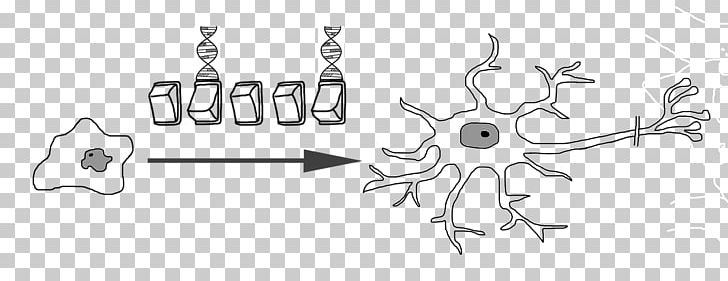 Embryonic Stem Cell Neuron Stem-cell Therapy PNG, Clipart, Angle, Arm, Branch, Cartoon, Cell Free PNG Download