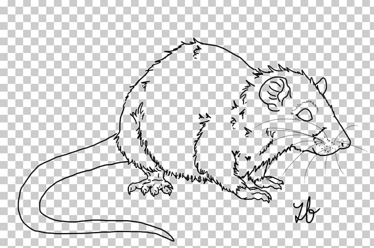 Rat Line Art Cat Whiskers Mouse PNG, Clipart, Animals, Area, Art, Big Cats, Black And White Free PNG Download