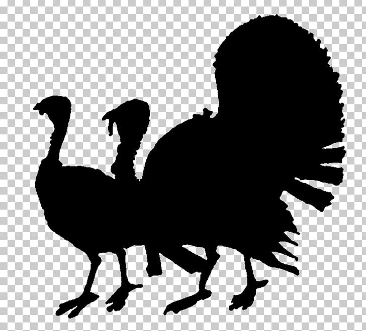 Silhouette Turkey Meat PNG, Clipart, Ads, Animals, Beak, Bird, Black And White Free PNG Download