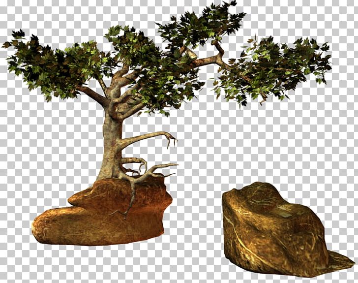 Tree Wood PNG, Clipart, 2d Computer Graphics, Agac, Agac Resimleri, Bonsai, Forest Free PNG Download