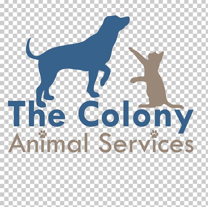 Dog Animal Shelter Veterinarian Animal Rescue Group Spay Illinois Pet Well Clinic PNG, Clipart, Adoption, Animal, Animal Rescue Group, Animals, Animal Shelter Free PNG Download
