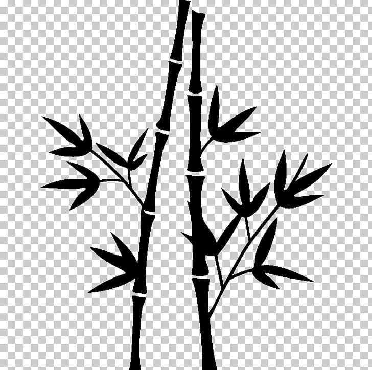 Drawing Sticker Color PNG, Clipart, Bamboo Forest, Bamboo Musical Instruments, Bambusodae, Black, Black And White Free PNG Download