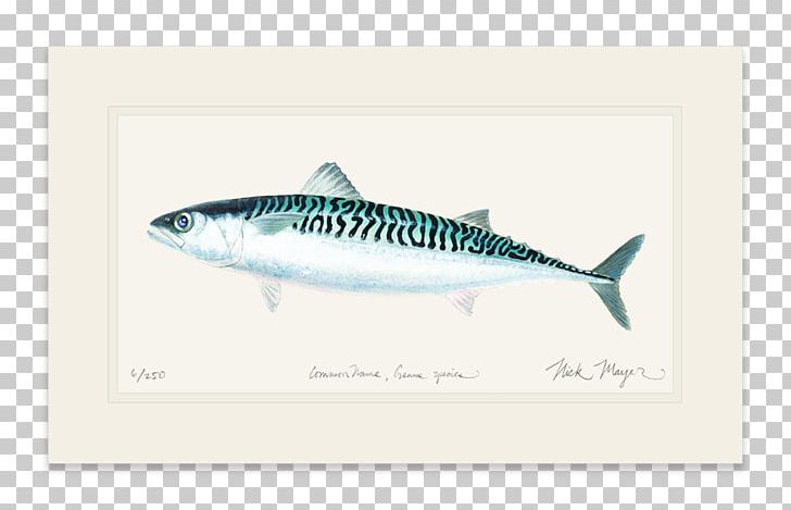 Mackerel Striped Bass Yellowfin Tuna Sardine PNG, Clipart, Atlantic Bluefin Tuna, Bass, Bigeye Tuna, Bonito, Bony Fish Free PNG Download