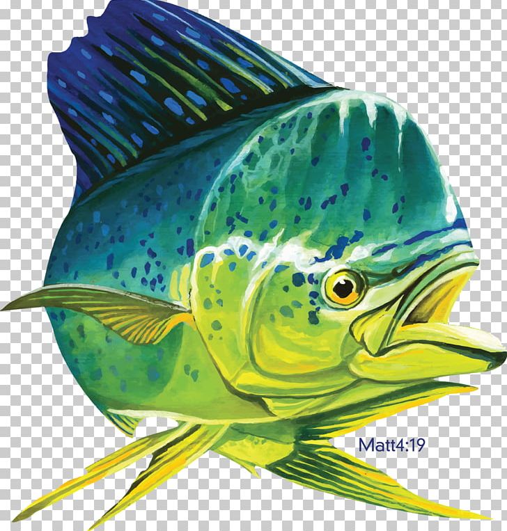 Mahi-mahi Fishing Decal T-shirt PNG, Clipart, Coral Reef Fish, Daily Catch, Decal, Fauna, Fin Free PNG Download