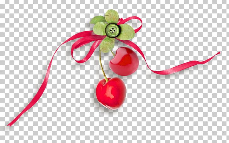 Christmas Ornament Fruit PNG, Clipart, Christmas, Christmas Ornament, Flower, Food, Fruit Free PNG Download