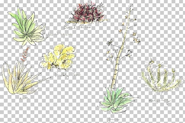 Grasses Plant Stem Herb Flower Subshrub PNG, Clipart, Branch, Branching, Commodity, Family, Flora Free PNG Download