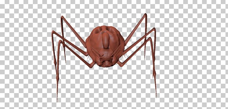 Widow Spiders Insect STX G.1800E.J.M.V.U.NR YN Pest PNG, Clipart, Animals, Arachnid, Arthropod, Boss, I Have Been Free PNG Download