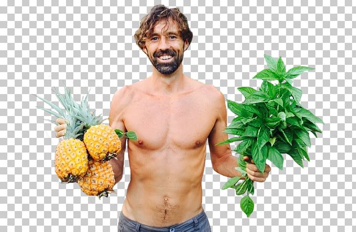 Daniel McDonald Pineapple Raw Foodism Fruitarianism Nutrition PNG, Clipart, Ananas, Author, Barechestedness, Bromeliaceae, Diet Free PNG Download