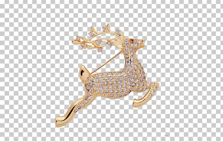 Reindeer Brooch PNG, Clipart, Animals, Body Jewelry, Brooch, Christmas Deer, Deer Free PNG Download