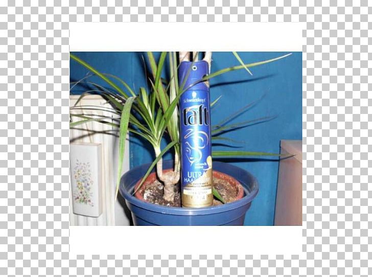 Majorelle Blue Majorelle Garden Flowerpot Houseplant PNG, Clipart, Blue, Flowerpot, Houseplant, Majorelle Blue, Majorelle Garden Free PNG Download