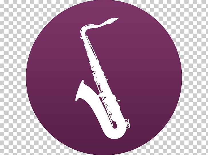 Musical Instruments Woodwind Instrument Musician PNG, Clipart, Mellophone, Music, Musical Instrument, Musical Instruments, Musician Free PNG Download