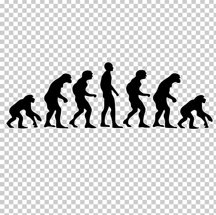Neanderthal Human Evolution Primate PNG, Clipart, Biology, Black And White, Charles Darwin, Darwinism, Evolution Free PNG Download