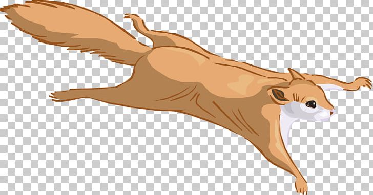 Prairie Dog Flying Squirrel Eastern Gray Squirrel PNG, Clipart, Animal, Animals, Big Cats, Carnivoran, Cartoon Free PNG Download