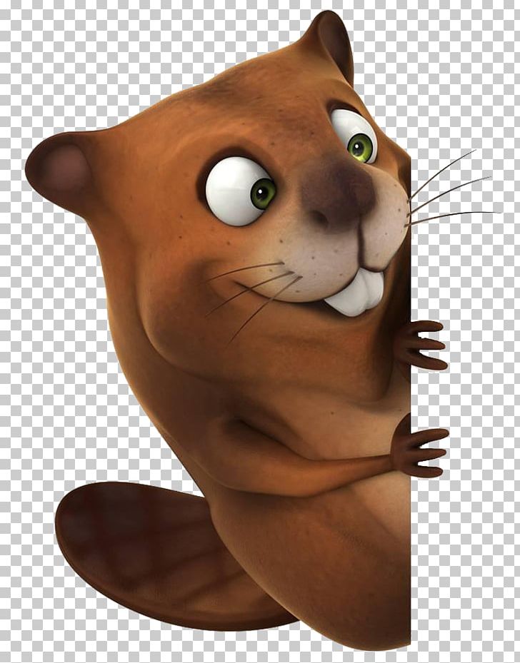 Whiskers Beaver Muskrat Rodent Otter PNG, Clipart, Animals, Beats Ep, Beaver Hat, Big, Big Cats Free PNG Download