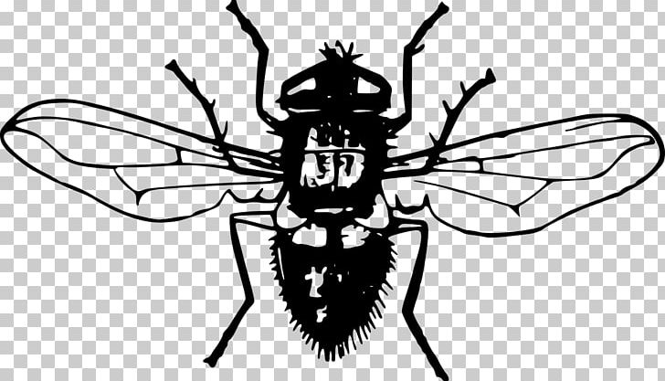 Bee Fly Insect PNG, Clipart, Animals, Arthropod, Bee, Black, Black And White Free PNG Download