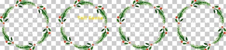 Grasses Leaf Plant Stem Holly Font PNG, Clipart, Activity Promotion, Flowering Plant, Grass, Grasses, Grass Family Free PNG Download