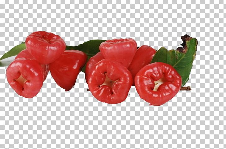 Java Apple Syzygium Jambos Watery Rose Apple Nutrition Auglis PNG, Clipart, Bell Pepper, Cayenne Pepper, Chili Pepper, Eating, Food Free PNG Download