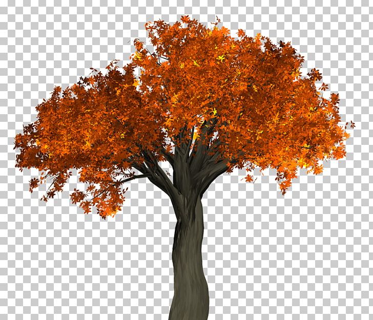 Tree PNG, Clipart, Autumn, Autumn Leaf Color, Autumn Tree, Branch, Computer Graphics Free PNG Download