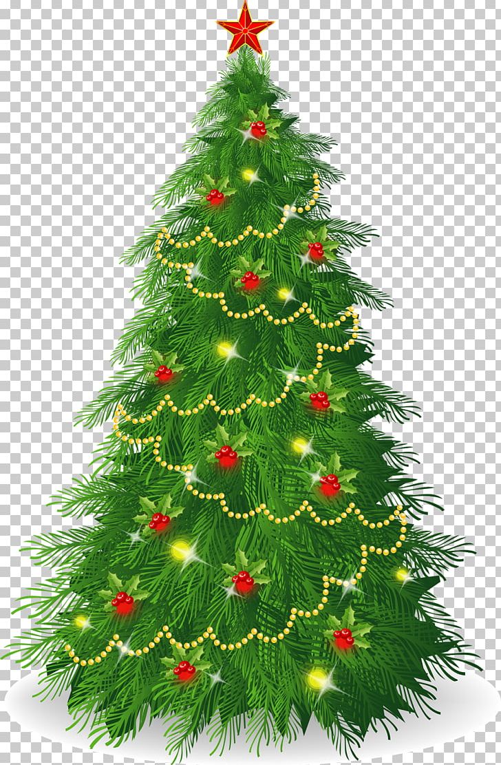 Christmas Tree Christmas Ornament Stock Photography PNG, Clipart, Christmas, Christmas Decoration, Christmas Ornament, Christmas Tree, Conifer Free PNG Download