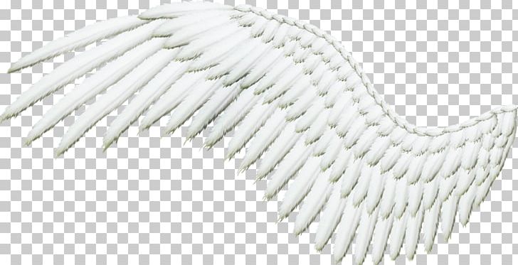 Feather PNG, Clipart, 3d Rendering, Angle, Animals, Black And White, Darkest Hour Free PNG Download