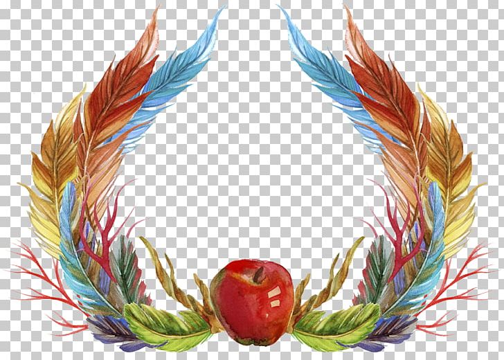 Feather Icon PNG, Clipart, Animals, Apple, Border, Color, Colorful Free PNG Download