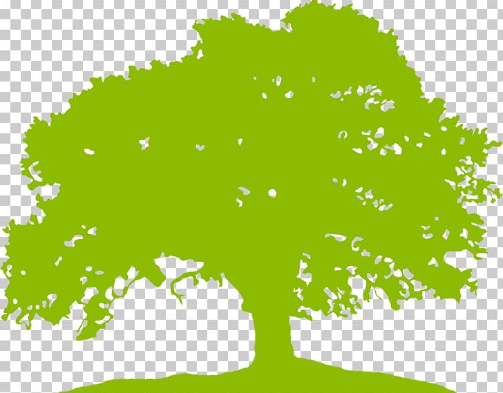 Tree PNG, Clipart, Area, Branch, Flora, Flowering Plant, Grass Free PNG Download