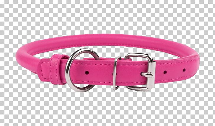 Dog Collar PNG, Clipart, Dog Collar Free PNG Download