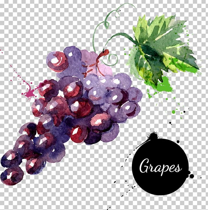 Grape Watercolor Painting Drawing PNG, Clipart, Cartoon Couple, Cartoon Vector, Encapsulated Postscript, Food, Fruit Free PNG Download