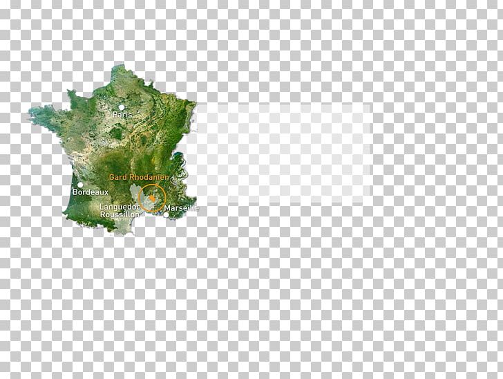 Metropolitan France Map PNG, Clipart, Europe, France, Information, Leaf, Map Free PNG Download