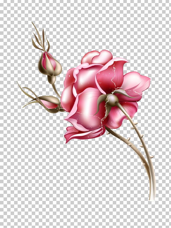 Poster Photography PNG, Clipart, Art, Branch, Clip Art, Computer Wallpaper, Cut Flowers Free PNG Download