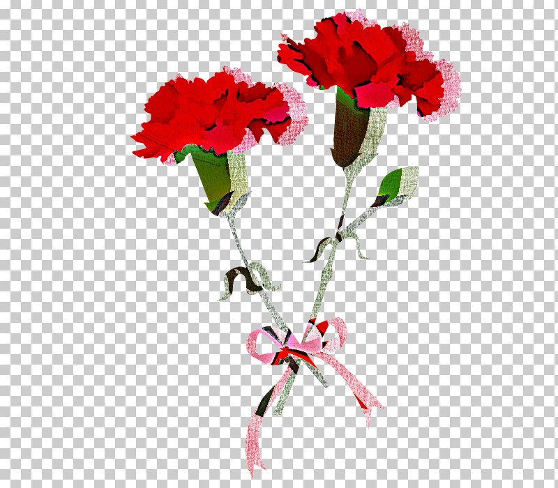 Flower Red Plant Cut Flowers Carnation PNG, Clipart, Bouquet, Carnation, Coquelicot, Cut Flowers, Dianthus Free PNG Download