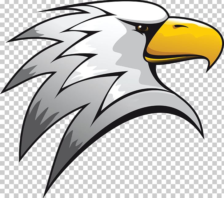 Stock Photography Drawing PNG, Clipart, Beak, Bird, Bird Of Prey, Drawing, Eagle Free PNG Download