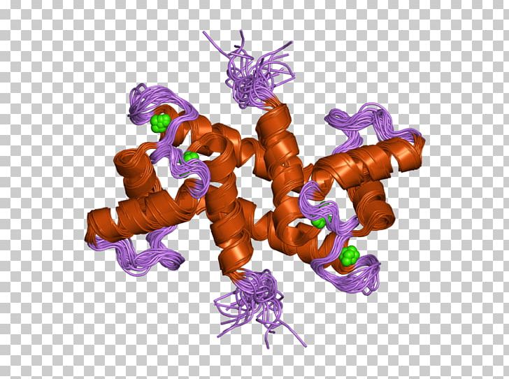 S100B S100 Protein S100A1 Amino Acid PNG, Clipart, Amino Acid, Bodybuilding Supplement, Cell Nucleus, Cytoplasm, Ebi Free PNG Download