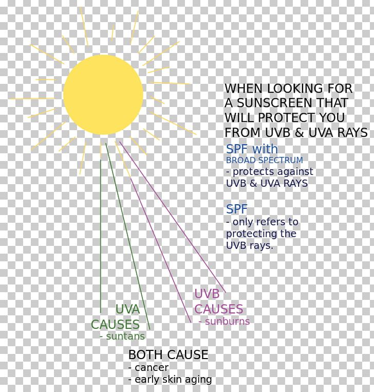 Sunlight Sunscreen Diagram Ray PNG, Clipart, Area, Brand, Diagram, Flower, Graphic Design Free PNG Download