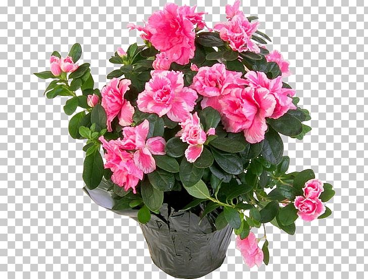 Flower Bouquet Floristry Cut Flowers Pink Flowers PNG, Clipart, Annual Plant, Artificial Flower, Azalea, Birthday, Busy Lizzie Free PNG Download